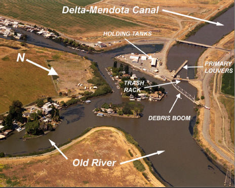 photograph of the aerial view of the Tracy Fish Collection Facility showing The Delta-Mendota Canal, Holding tanks, primary louvers, track rack, debris boom, and Old River