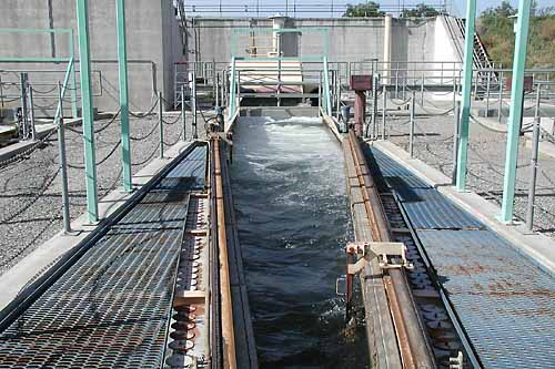 Looking upstream from vertical screen at intake of Red Bluff Research Pumping Plant in Red Bluff, California. Photo by Sandy Borthwick.