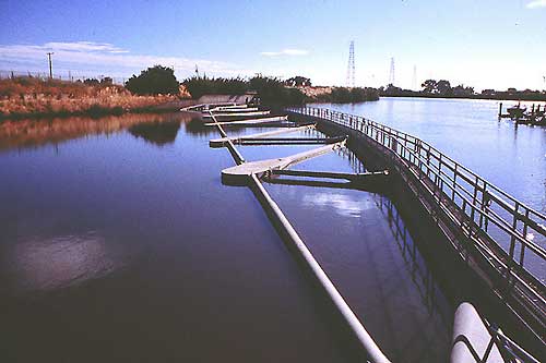 photograph: Looking toward the northeast at the debris dam on the Old River intake of the TFCF