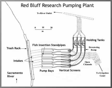 image: Red Bluff Research Pumping Plant