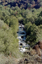 non interactive photo of North Fork Battle Creek