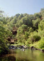 non interactive image of North Fork Battle Creek below Wildcat Diversion Dam