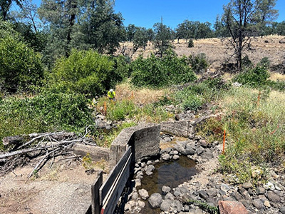 Lower Ripley Creek Feeder Diversion Dam