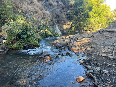 Dam removed and the creek restored, looking downstream from the right bank