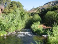 non interactive photo of South Fork Battle Creek below