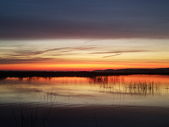 Brilliant sunset reflected in Suisun Marsh