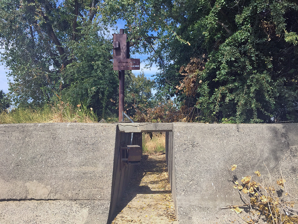 Fremont Weir fish ladder