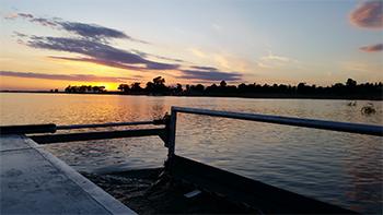 Sunset peaks through trees from across the water.