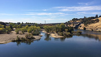 Water in small channels reflects vegetation along the shoreline on a clear day