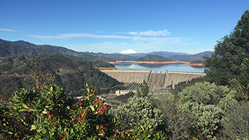 Toyon berries in the foreground share our view of Shasta Dam, Shasta Lake and Mount Shasta.