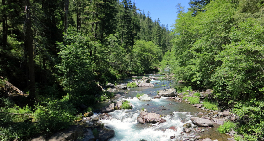 tributary above Shasta Lake