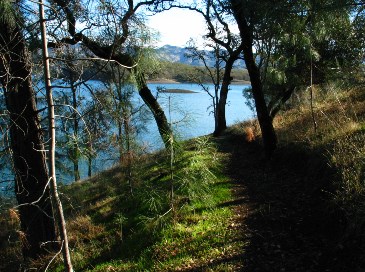 photograph of Smittle Creek; click for larger photo