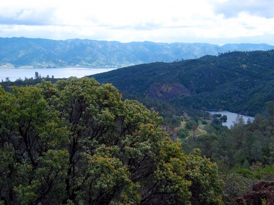 photograph of Lake View from Cedar Roughs; click for larger photo