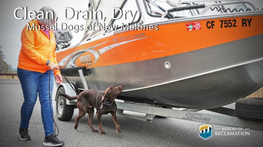 interactive image:  photo of mussel sniffing dog