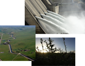 Non-interactive collage of the water transfer process