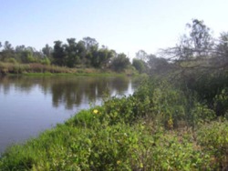 Non-interactive picture