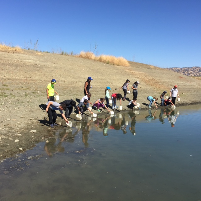  Students collect water samples at Lake Berryessa during field trip.