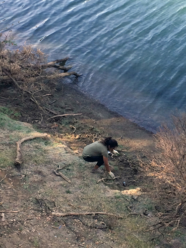 Volunteer picks up trash along coast at Markley Cove.