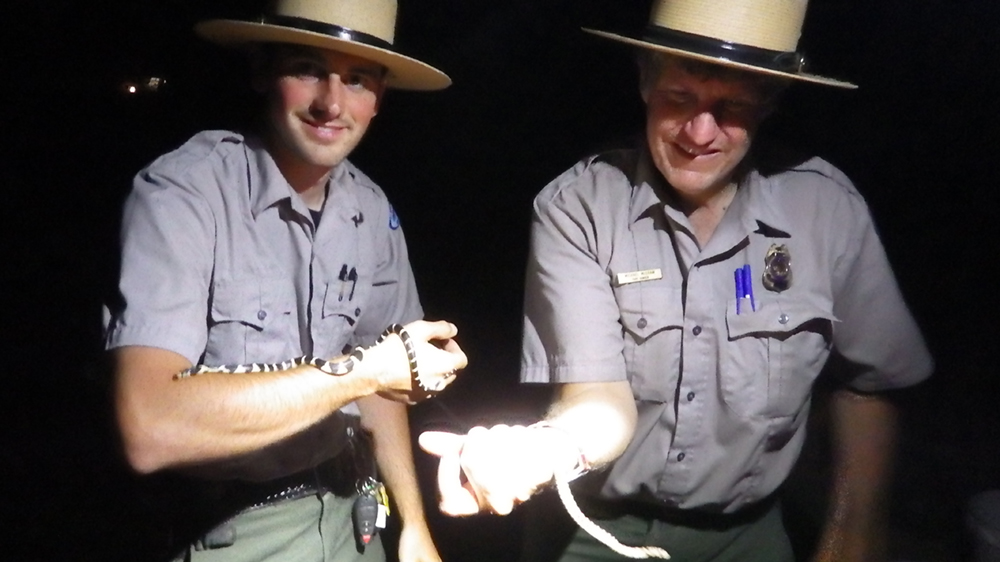 Rangers holding snakes they encountered at Nocturnal Happenings