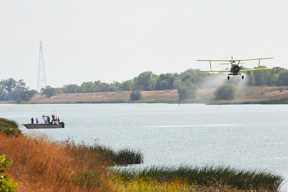 Crop duster applies fertilizer into Sacramento Deep Water Ship Channel Oct. 1, 2018 (Reclamation photo by Patrick Moore / Released)