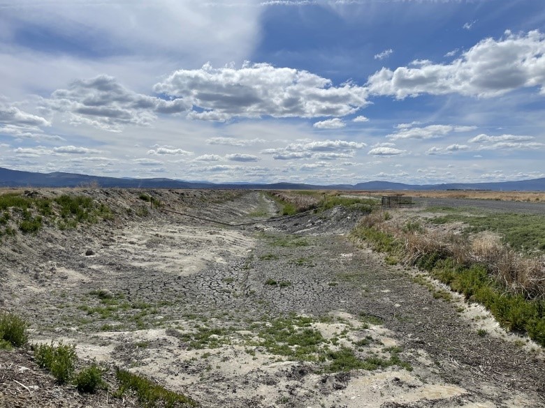 Lower Klamath National Wildlife Refuge, Tulelake, Calif. July 2021