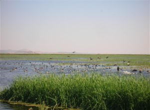 Click on the picture for a larger view 