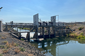 Upstream side of Fernley Check Structure looking downstream