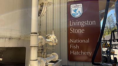 Livingston Stone National Fish Hatchery 