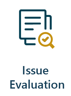 Issue Evaluation graphic