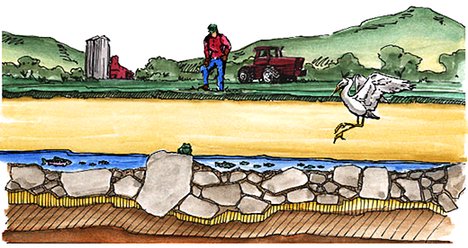 instream water and safe paths