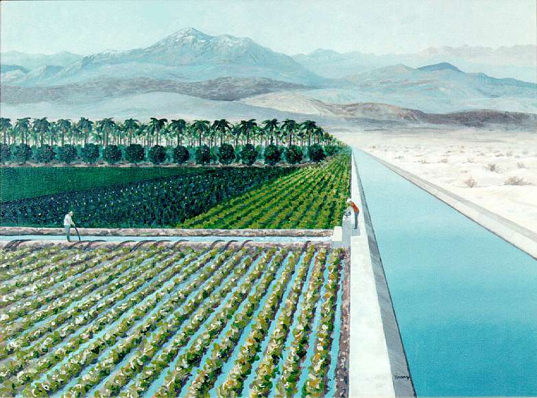 A view of irrigated fields