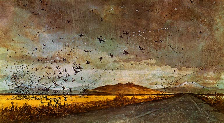 Birds in flight over Tule Lake Wildlife Refuge in Northern California