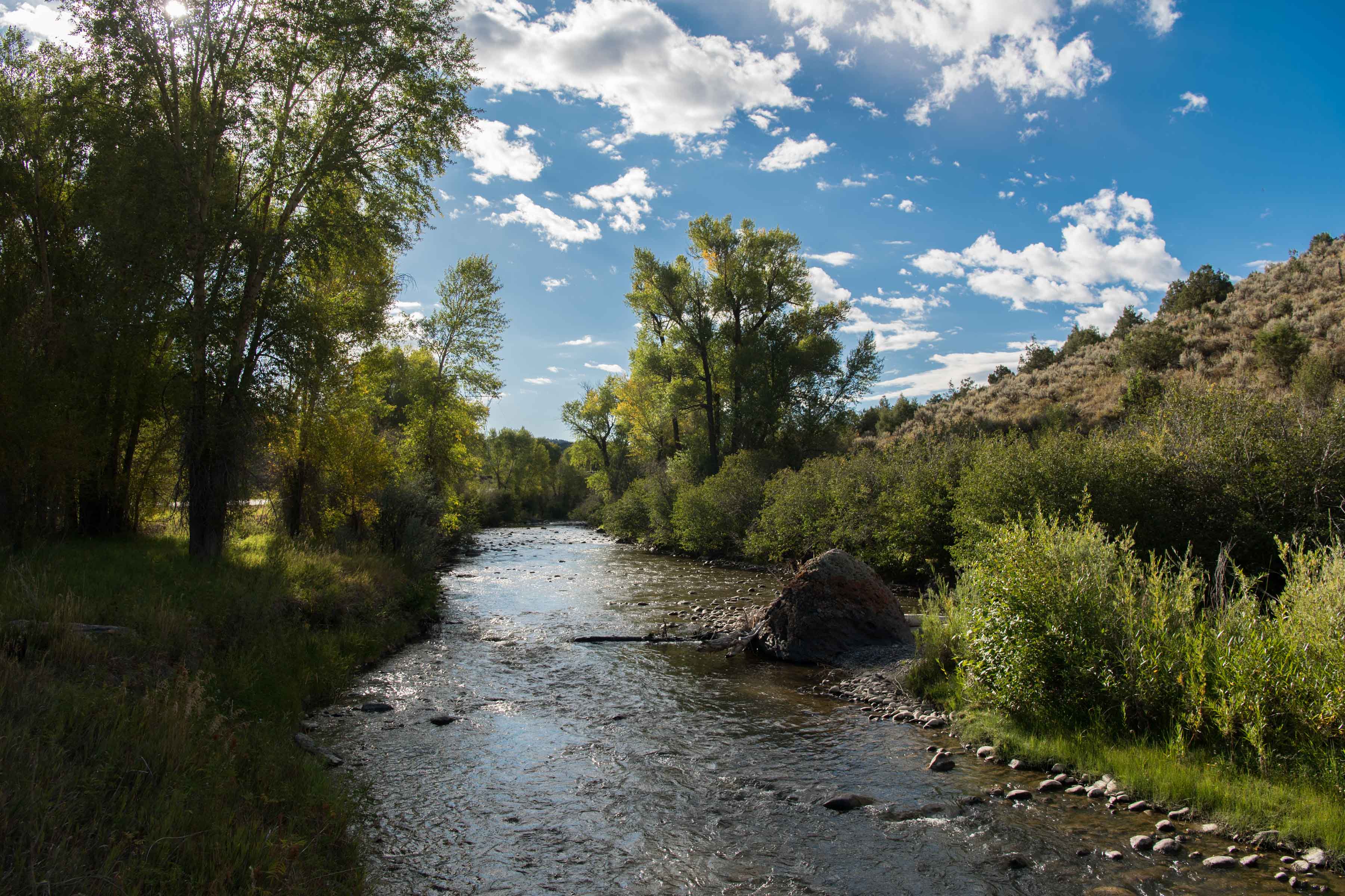 The Cimarron River, a tributary of the Gunnison River, flowing in Colorado.