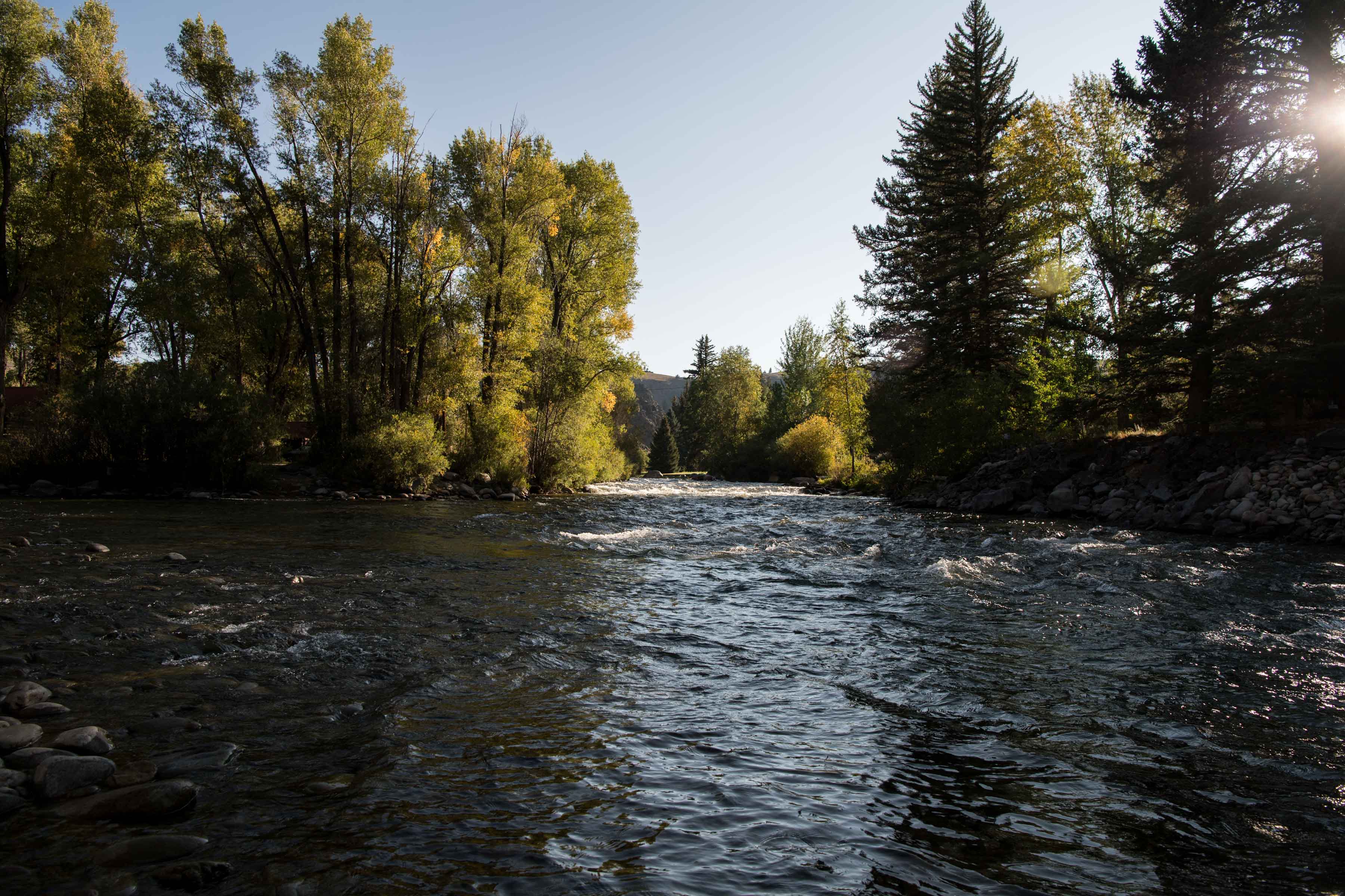 A river running through the forest. Environmental Water Resources Projects is a new funding category under WaterSMART. Projects that benefit plant and animal species, fish and wildlife habitat, riparian areas, and ecosystems directly influenced by water resources management are eligible for this grant opportunity.