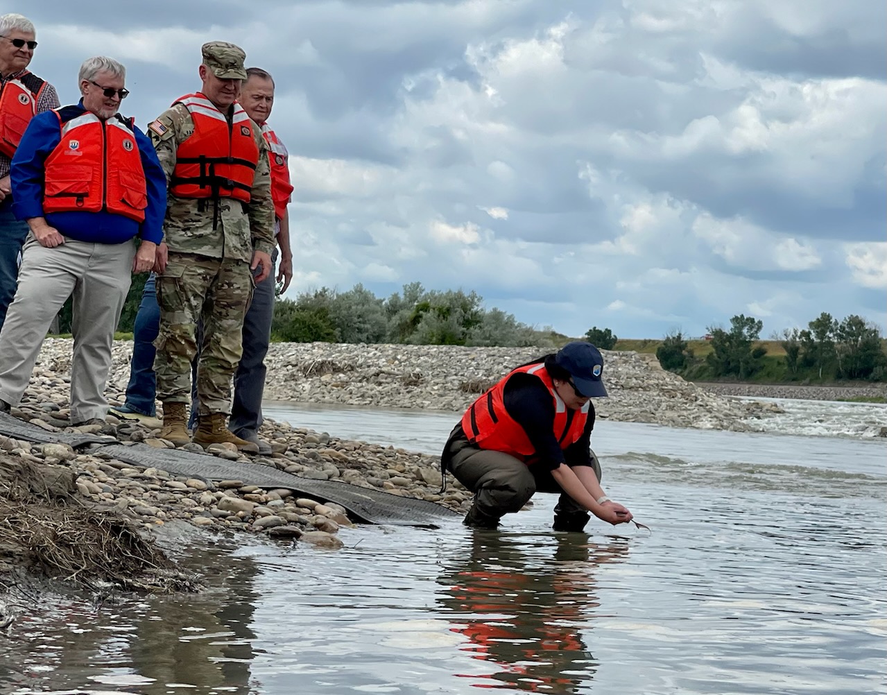 Bureau of Reclamation Commissioner Camille Calimlim Touton releases a pallid sturgeon into the Lower Yellowstone River during a ribbon cutting event for the Lower Yellowstone Fish Bypass Channel in Montana, July 26, 2022.