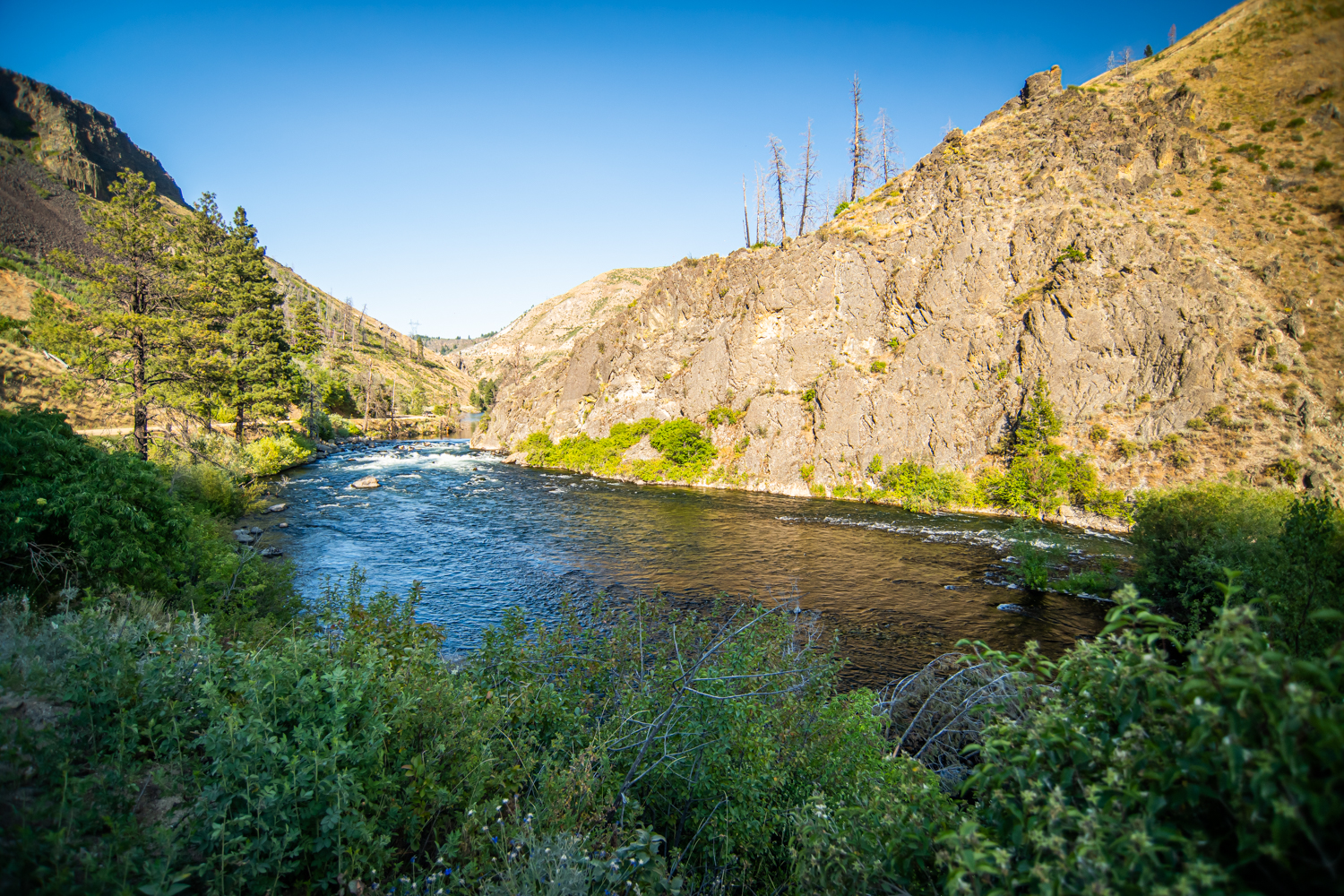 The South Fork of the Boise River below Anderson Ranch Dam in Idaho.