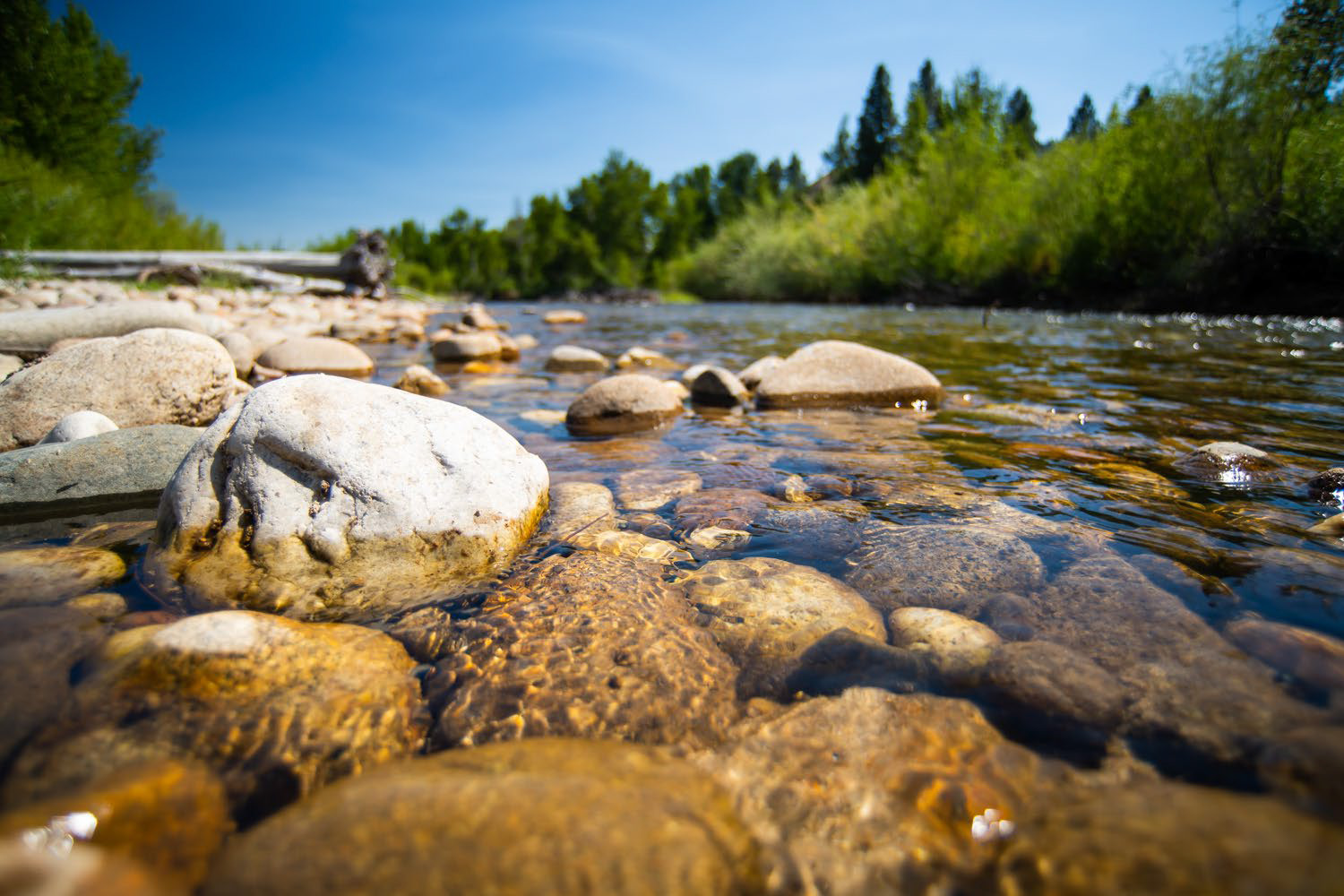 Funding is available for projects projects that will result in significant benefits to ecosystem or watershed health.