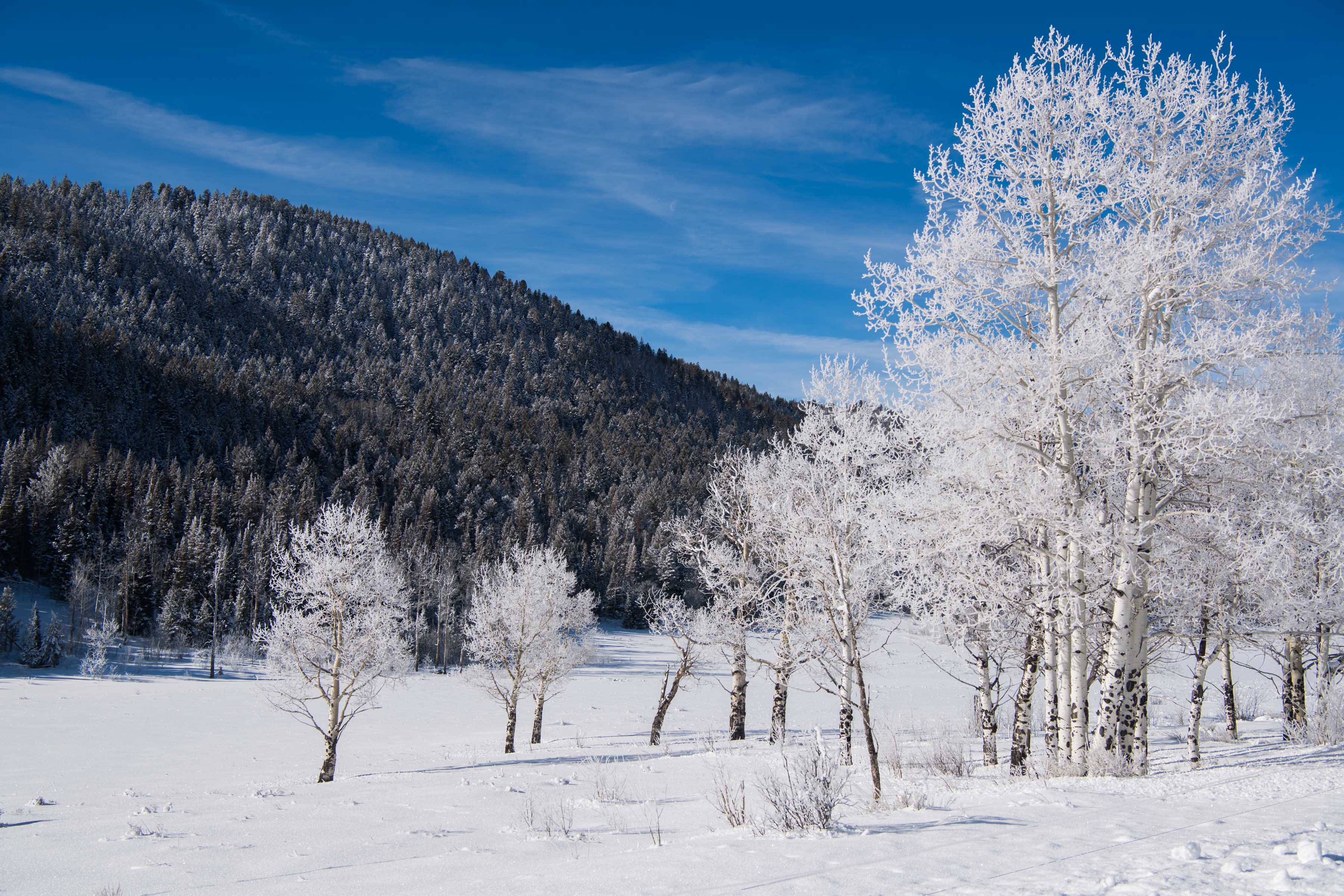 Snow in the mountains. Reclamation is seeking new ideas to enhance snow monitoring.