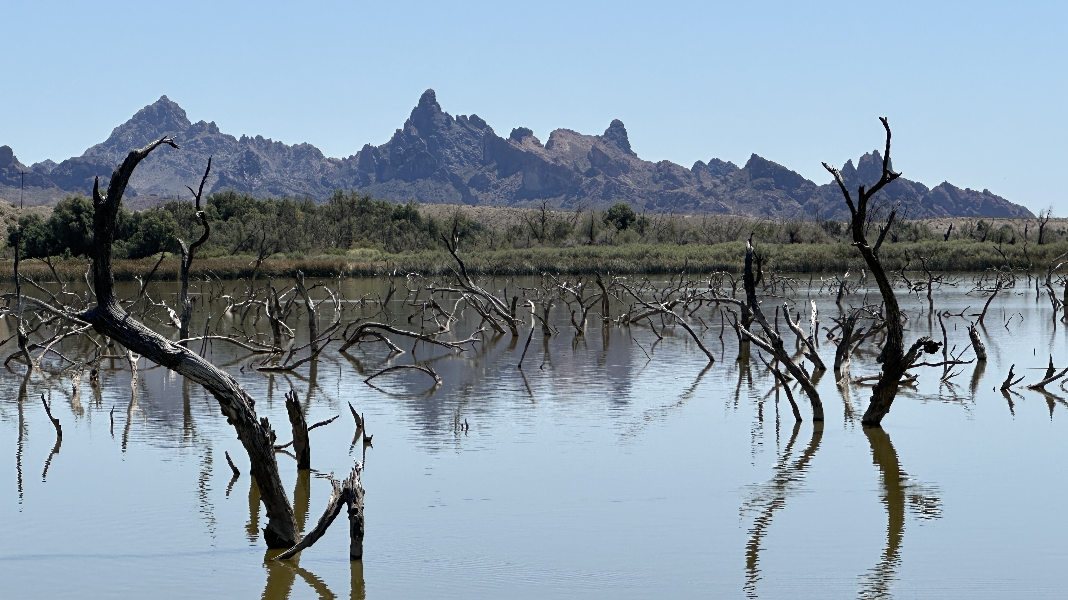 Stabilizing water levels in Topock Marsh is the goal of a project funded through the Bipartisan Infrastructure Law. (Reclamation photo by Tim Dewar)