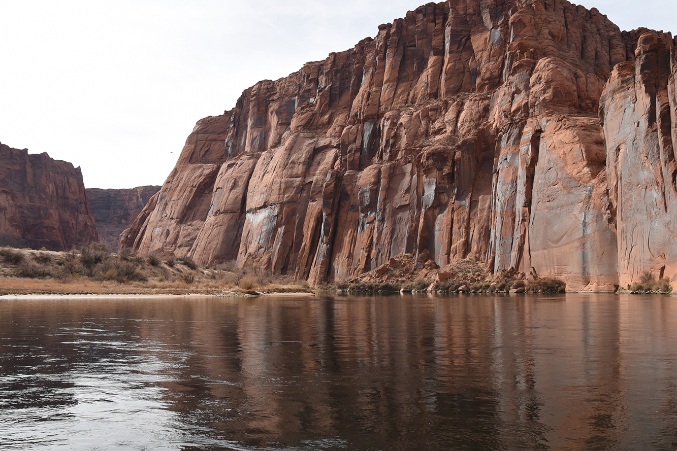 The Colorado River flowing past sandstone cliffs.