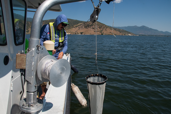 Reclamation Civil Engineer Alex Walker prepares to lower the sample collection net into Deer Creek Reservoir on July 11.