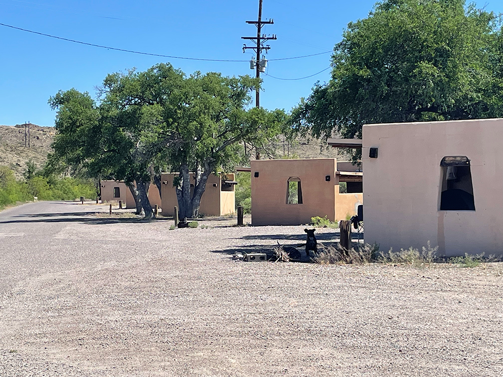The Fish Hatchery/Paseo Del Rio Campground Access Road which is part of the rehabilitation project set to begin after the July 4 holiday weekend.