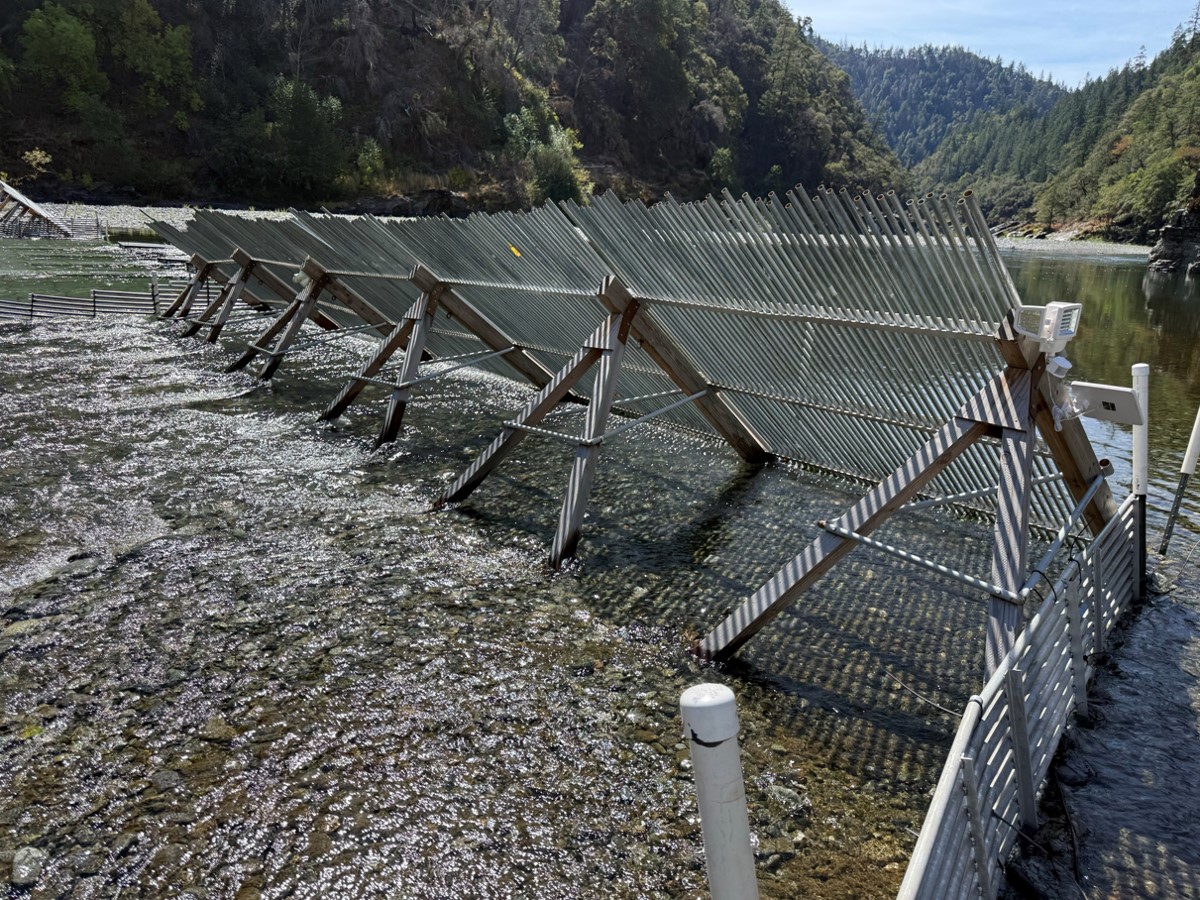 Trinity Weir on the Trinity River, CA
