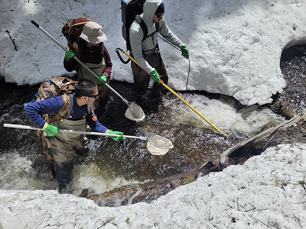 A crew electrofishing on a small stream.