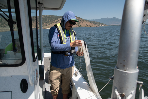Reclamation scientist is unscrewing the collection vessel from the bottom of the collection net that is hanging from the lowering winch on the side of the boat.