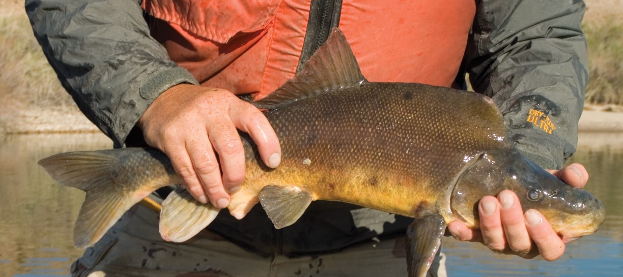 man holding fish