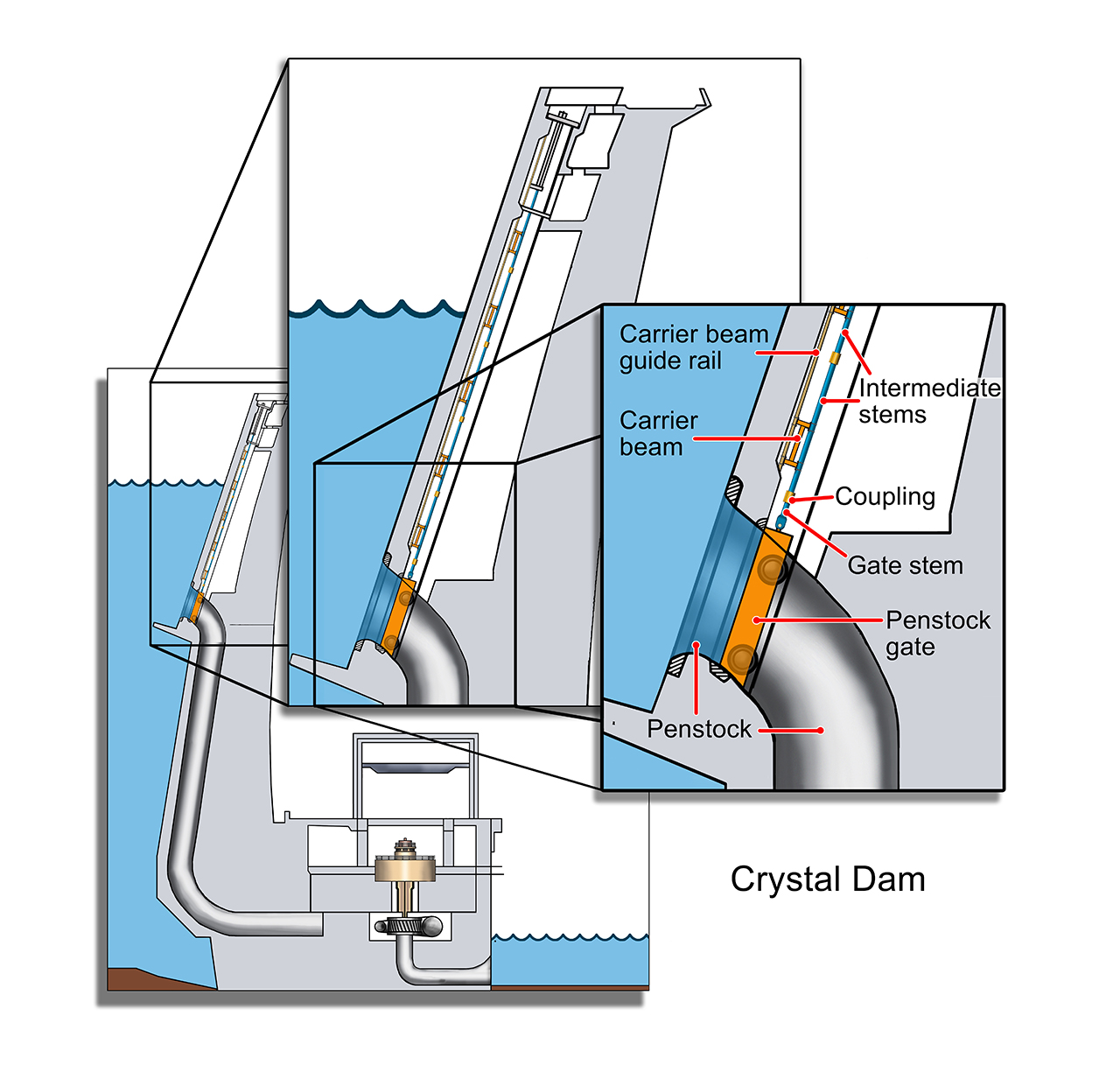 Illustration by Chris Watt, UCB Public Affairs Specialist