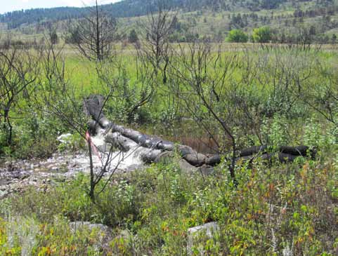 Waddles slowing spring runoff in 2013.