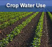 Crop Water Use