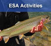 ESA activities